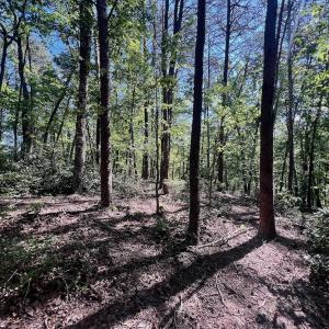 Photo #52 of Off Brights Road, Pittsville, VA 30.4 acres