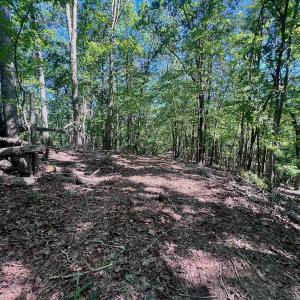 Photo #55 of Off Brights Road, Pittsville, VA 30.4 acres
