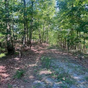 Photo #56 of Off Brights Road, Pittsville, VA 30.4 acres