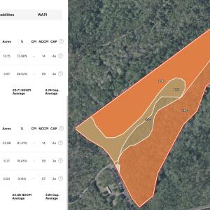 Photo #62 of Off Brights Road, Pittsville, VA 30.4 acres