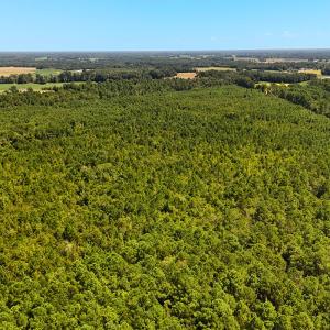 Photo #10 of Off Lagrange Rd, La Grange, NC 86.7 acres