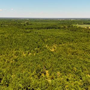 Photo #13 of Off Lagrange Rd, La Grange, NC 86.7 acres