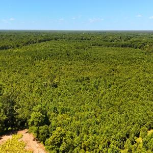 Photo #14 of Off Lagrange Rd, La Grange, NC 86.7 acres