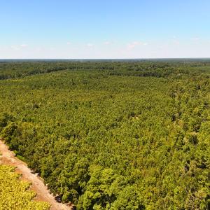 Photo #15 of Off Lagrange Rd, La Grange, NC 86.7 acres