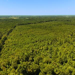 Photo #17 of Off Lagrange Rd, La Grange, NC 86.7 acres