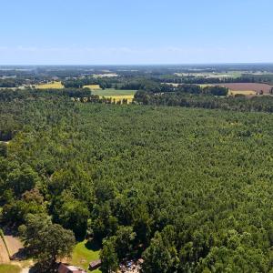 Photo #4 of Off Lagrange Rd, La Grange, NC 86.7 acres