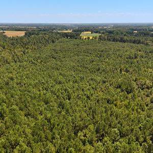 Photo #5 of Off Lagrange Rd, La Grange, NC 86.7 acres