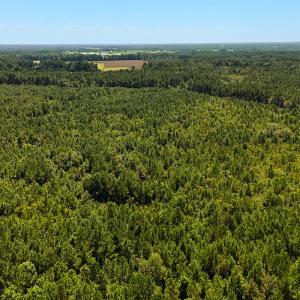 Photo #6 of Off Lagrange Rd, La Grange, NC 86.7 acres