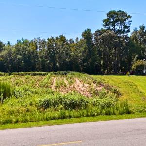 Photo #21 of Off Lagrange Rd, La Grange, NC 86.7 acres