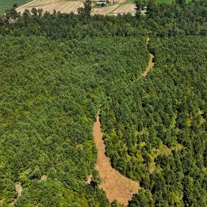 Photo #22 of Off Lagrange Rd, La Grange, NC 86.7 acres
