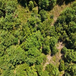 Photo #23 of Off Lagrange Rd, La Grange, NC 86.7 acres