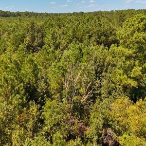 Photo #26 of Off Lagrange Rd, La Grange, NC 86.7 acres