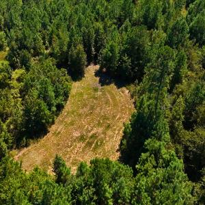 Photo #28 of Off Lagrange Rd, La Grange, NC 86.7 acres