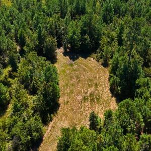 Photo #29 of Off Lagrange Rd, La Grange, NC 86.7 acres