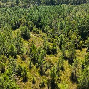 Photo #31 of Off Lagrange Rd, La Grange, NC 86.7 acres