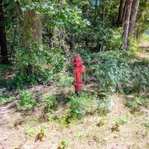 Photo #8 of 6724 Wimberly Rd., Willow Spring, NC 3.8 acres