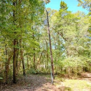Photo #11 of 6724 Wimberly Rd., Willow Spring, NC 3.8 acres