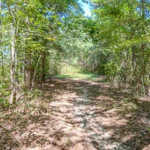 Photo #13 of 6724 Wimberly Rd., Willow Spring, NC 3.8 acres