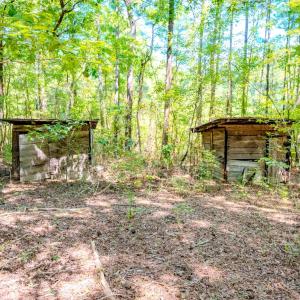 Photo #15 of 6724 Wimberly Rd., Willow Spring, NC 3.8 acres