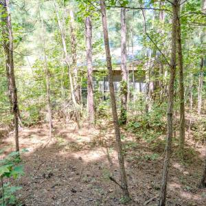 Photo #20 of 6724 Wimberly Rd., Willow Spring, NC 3.8 acres