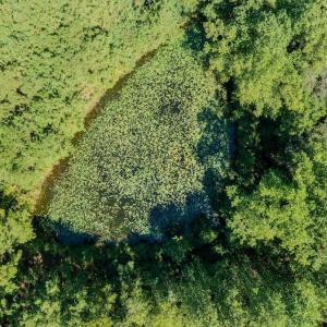 Photo #24 of 6724 Wimberly Rd., Willow Spring, NC 3.8 acres