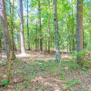 Photo #36 of 6724 Wimberly Rd., Willow Spring, NC 3.8 acres