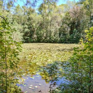 Photo #38 of 6724 Wimberly Rd., Willow Spring, NC 3.8 acres