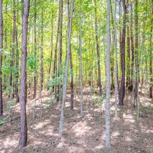 Photo #39 of 6724 Wimberly Rd., Willow Spring, NC 3.8 acres