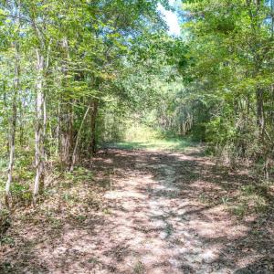 Photo #40 of 6724 Wimberly Rd., Willow Spring, NC 3.8 acres