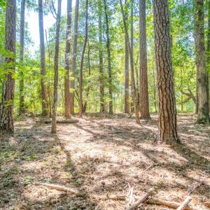 Photo #41 of 6724 Wimberly Rd., Willow Spring, NC 3.8 acres