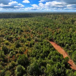 Photo #12 of Off Institute Road, Kinston, NC 35.0 acres
