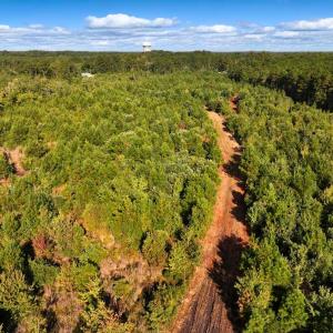 Photo #16 of Off Institute Road, Kinston, NC 35.0 acres