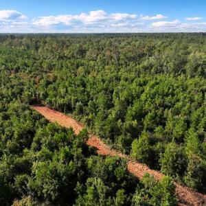 Photo #18 of Off Institute Road, Kinston, NC 35.0 acres