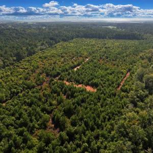 Photo #2 of Off Institute Road, Kinston, NC 35.0 acres