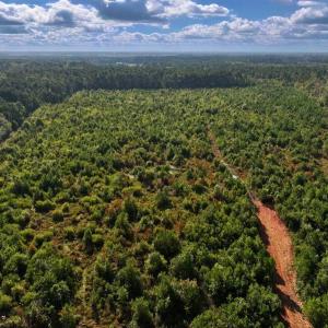 Photo #24 of Off Institute Road, Kinston, NC 35.0 acres