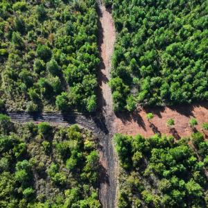 Photo #26 of Off Institute Road, Kinston, NC 35.0 acres