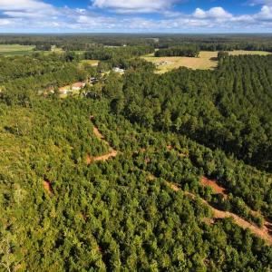 Photo #3 of Off Institute Road, Kinston, NC 35.0 acres
