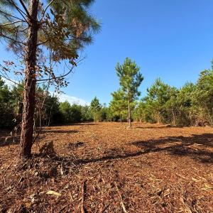 Photo #6 of Off Institute Road, Kinston, NC 35.0 acres