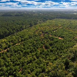 Photo #9 of Off Institute Road, Kinston, NC 35.0 acres
