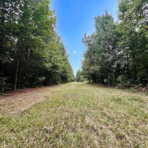 Photo #10 of Off  White Oak River Rd, Maysville, NC 41.0 acres
