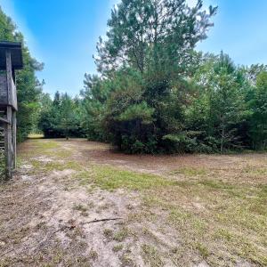 Photo #12 of Off  White Oak River Rd, Maysville, NC 41.0 acres