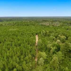 Photo #13 of Off  White Oak River Rd, Maysville, NC 41.0 acres
