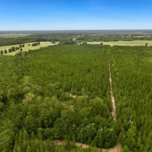 Photo #14 of Off  White Oak River Rd, Maysville, NC 41.0 acres