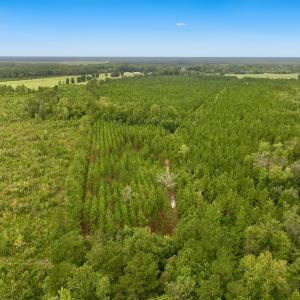 Photo #19 of Off  White Oak River Rd, Maysville, NC 41.0 acres
