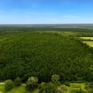 Photo #1 of Off  White Oak River Rd, Maysville, NC 41.0 acres