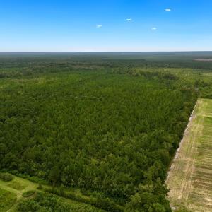 Photo #2 of Off  White Oak River Rd, Maysville, NC 41.0 acres