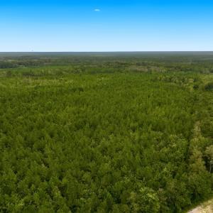 Photo #4 of Off  White Oak River Rd, Maysville, NC 41.0 acres