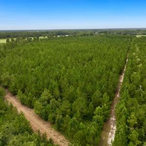 Photo #9 of Off  White Oak River Rd, Maysville, NC 41.0 acres