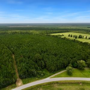 Photo #21 of Off  White Oak River Rd, Maysville, NC 41.0 acres