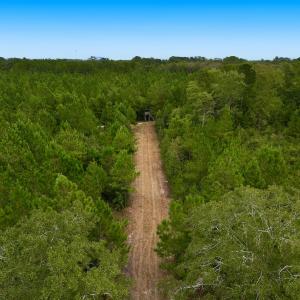 Photo #25 of Off  White Oak River Rd, Maysville, NC 41.0 acres